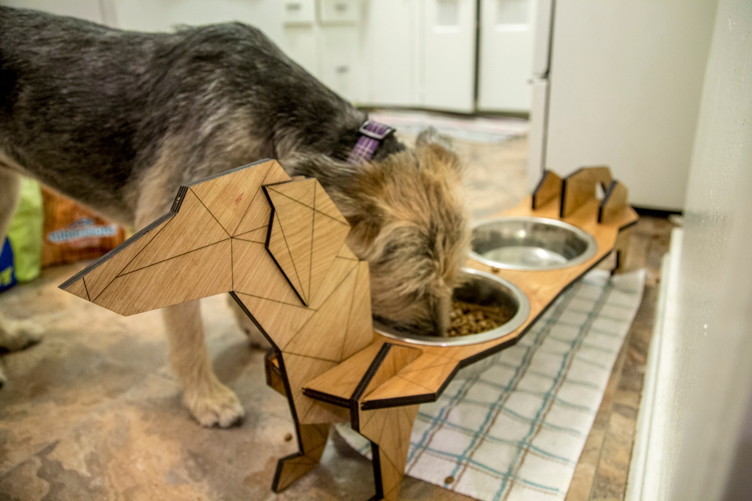 dog bowls and feeders